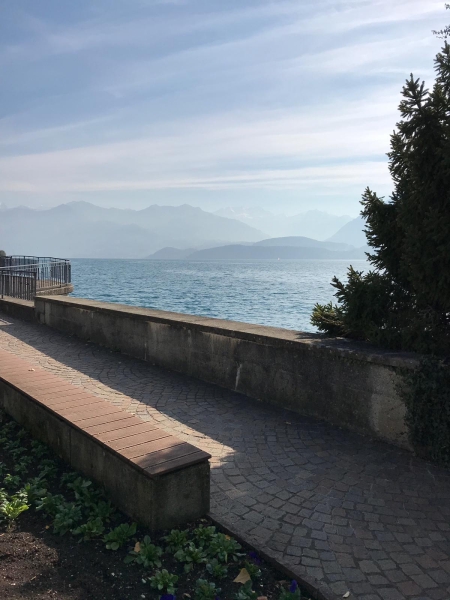 PHOTO 2018 10 17 17 50 13 5