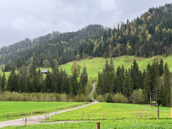 PHOTO 2024 05 07 17 52 38 1