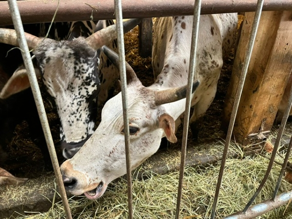 PHOTO 2024 05 07 17 52 39